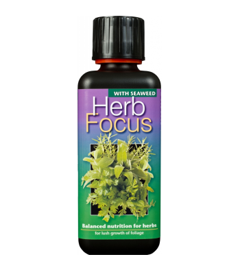 Herb Focus 100мл удобрение для кулинарных и лекарственных растений