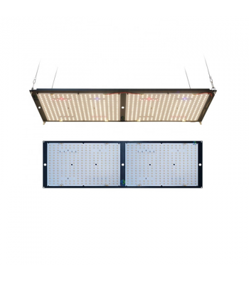 QBoard LM301B 3500K Samsung + 660nm + UV+IR 240w